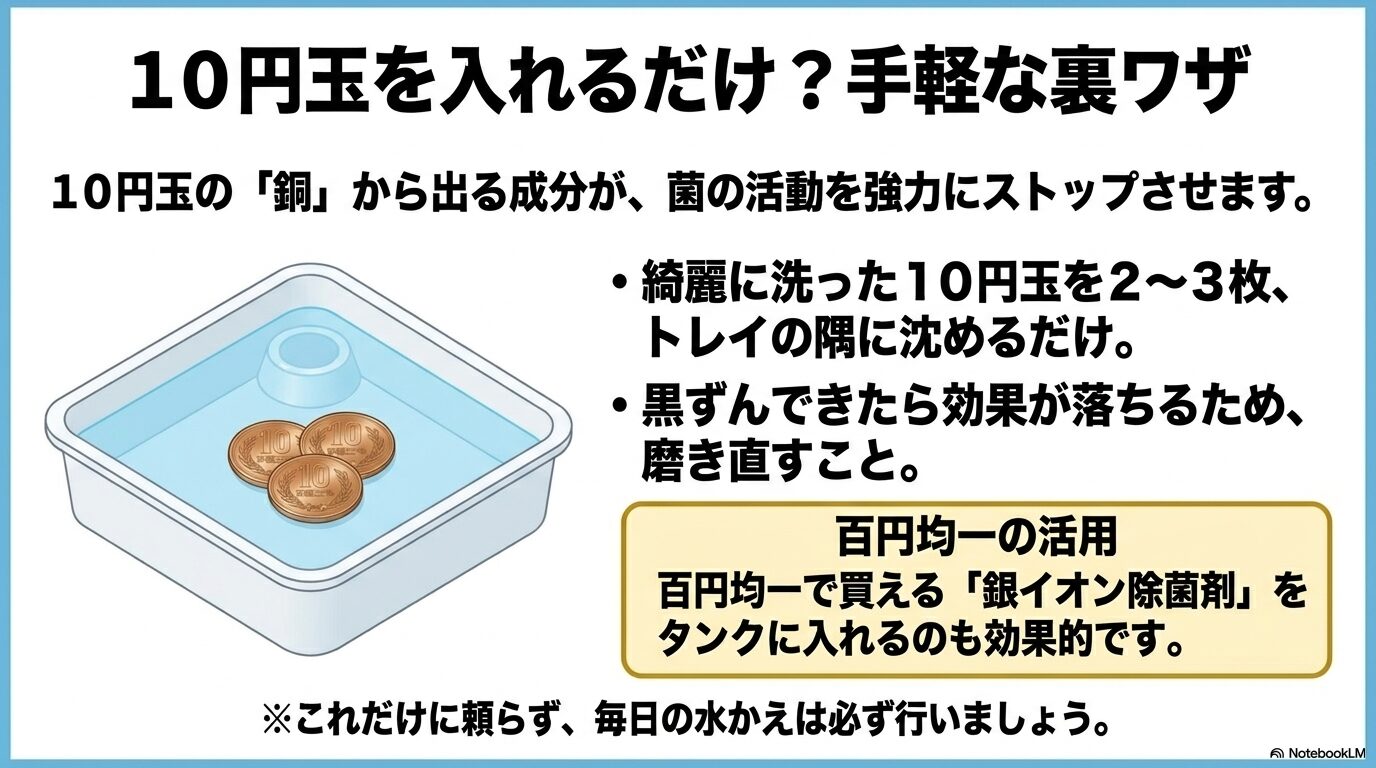 加湿器のトレイに10円玉を沈めて銅の成分で菌の活動をストップさせる裏ワザと100均除菌剤の活用